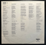 Richie Kotzen - Electric Joy (Голландия 1991г.)