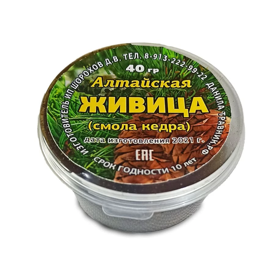 Живица