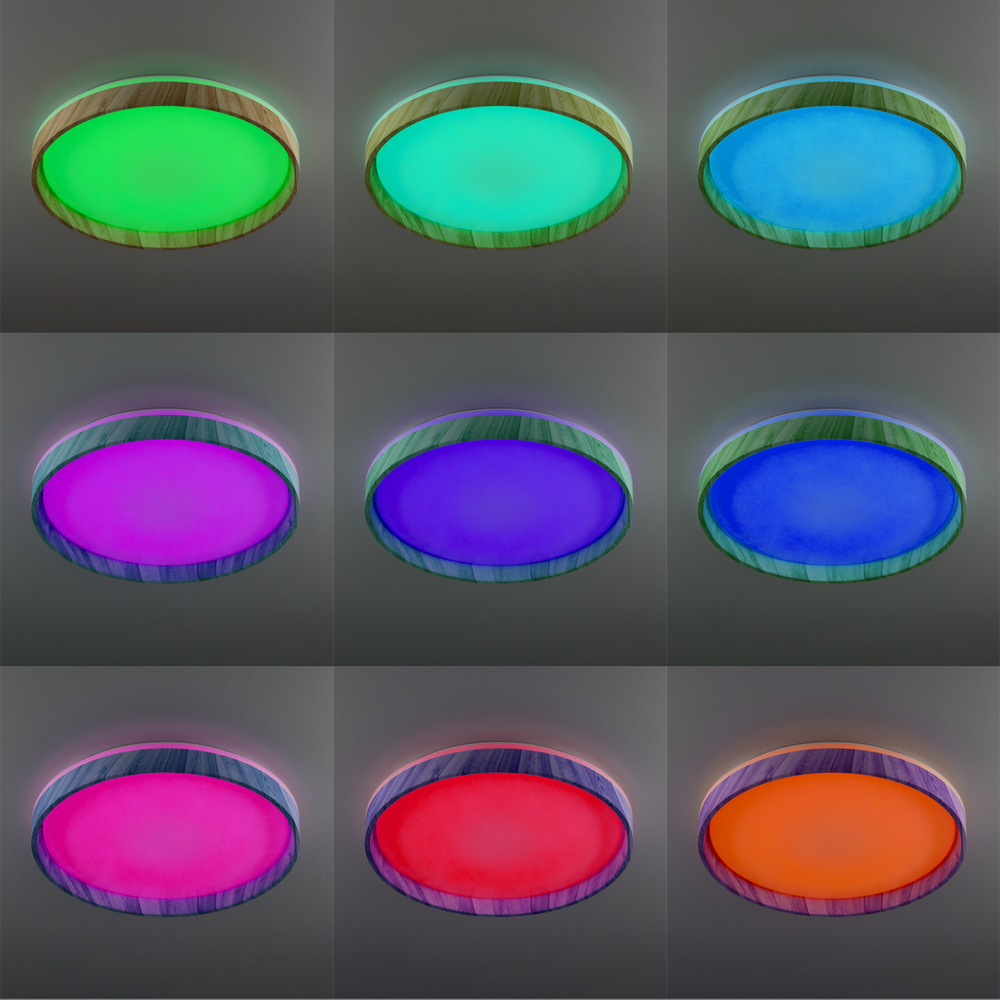 Потолочный светодиодный светильник Citilux ENZO CL753452G