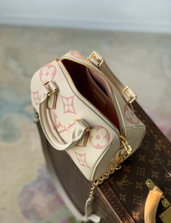 Louis Vuitton Speedy 20