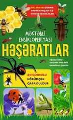 Həşəratlar