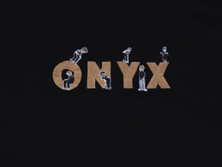 Футболка ONYX "Logo"