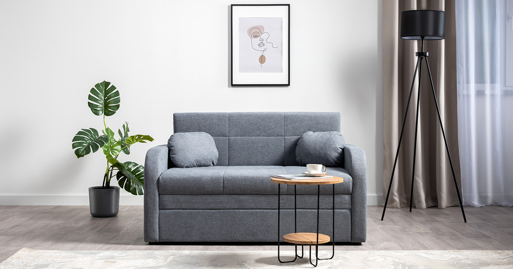 Тео Диван-кровать (120) Danco 995 Серый