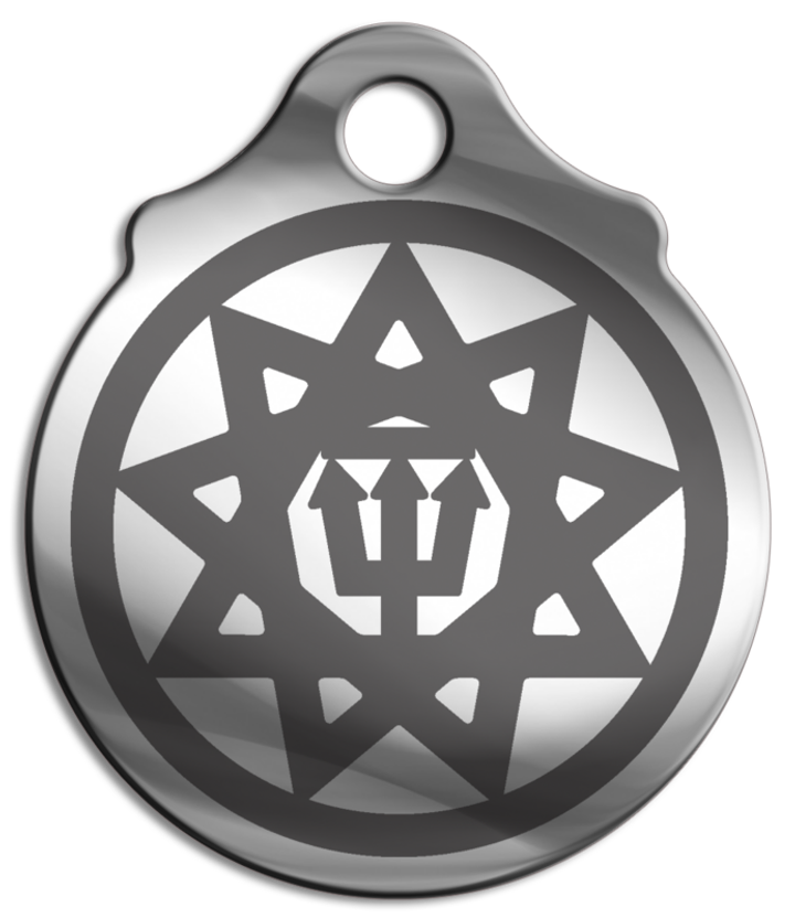 Амулет Славянский зодиак № 06 Чертог Ворона (Врана), медицинская сталь