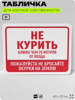 Табличка для частной территории "Не курить", на дом, для участка, организаций и частных территорий, предупреждающая, 40х30 см, Silver Plane x Айдентика Технолоджи