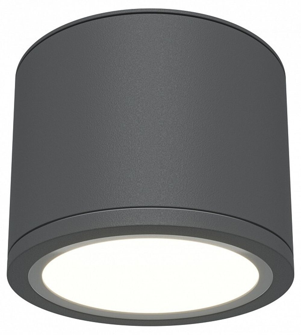 Накладной светильник Maytoni Rendo C095CL-GX53-GR