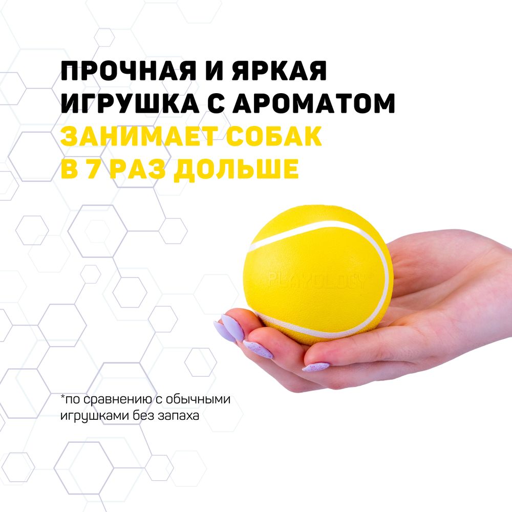 Жевательный мяч Playology SQUEAKY CHEW BALL для собак мелких и средних пород с пищалкой и с ароматом курицы, цвет желтый, 6 см Жевательный мяч Playology SQUEAKY CHEW BALL для собак мелких и средних пород с пищалкой и с ароматом курицы, цвет желтый, 6 см