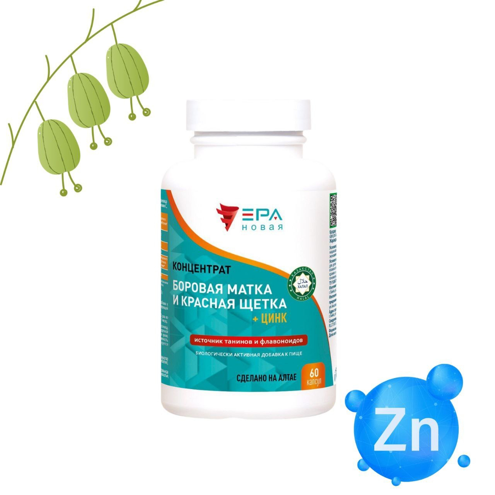 БОРОВАЯ МАТКА и КРАСНАЯ ЩЕТКА + Цинк Концентрат купить в Алматы с доставкой по Казахстану