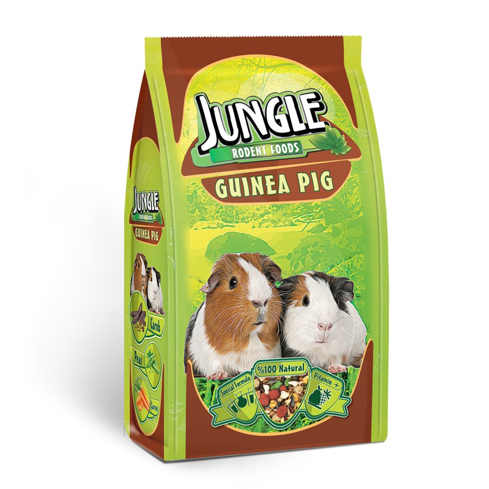 Jungle Guinea Pig