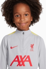 Кофта Nike Liverpool FC 24/25 Academy Pro Junior - серый