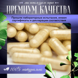 Гинкго Билоба капсулы 90 штук