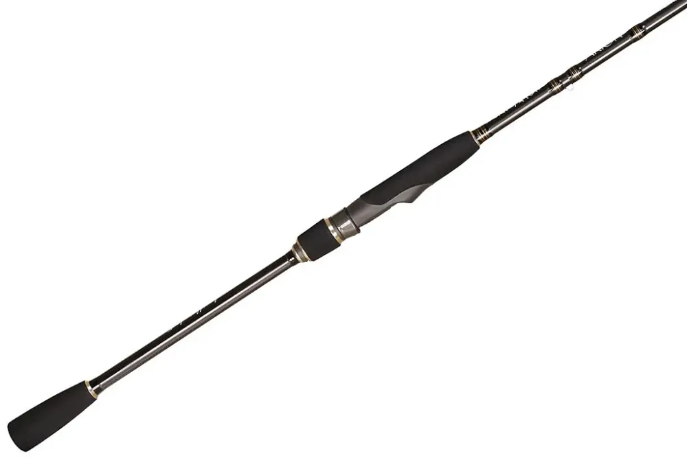 Спиннинг Arion ASRE862MT