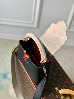 Louis Vuitton Capucines Mini