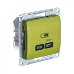 GLOSSA USB РОЗЕТКА тип-C 65Вт высокоскор.заряд. QC, PD, механизм, ФИСТАШКОВЫЙ