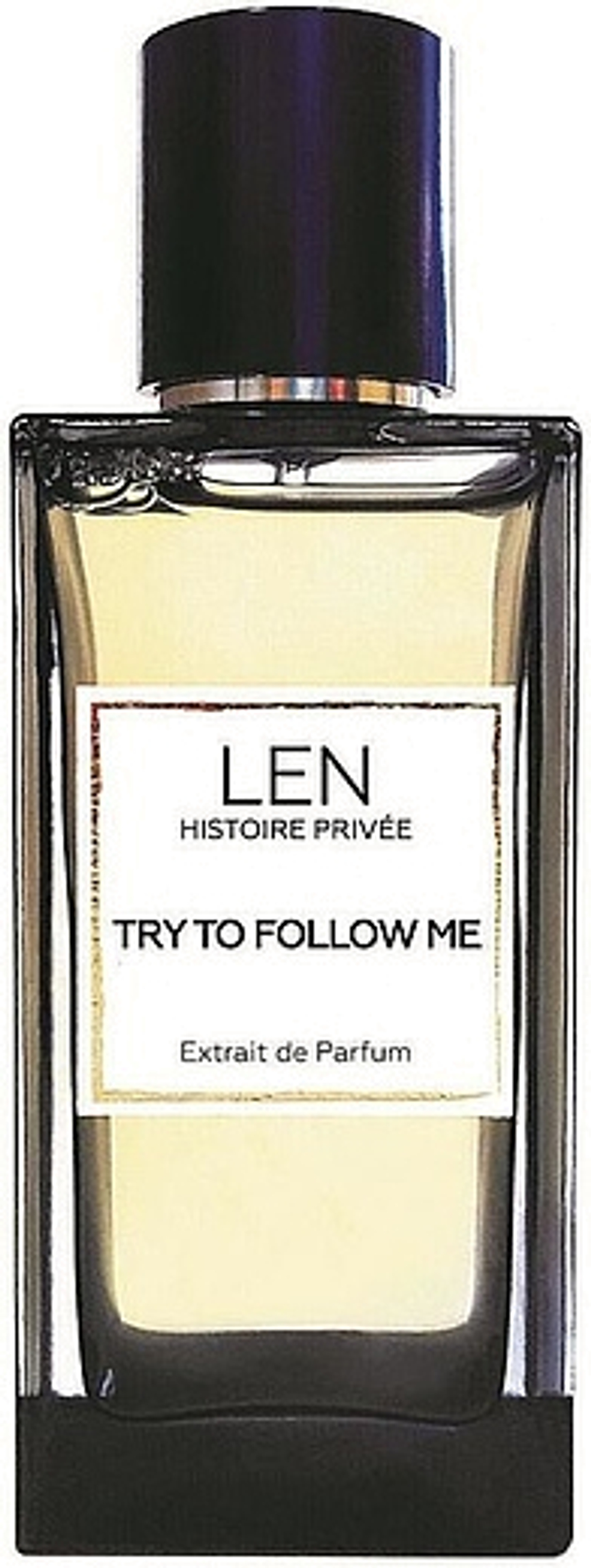 Духи 100мл / TRY TO FOLLOW ME / "Иди за мной"