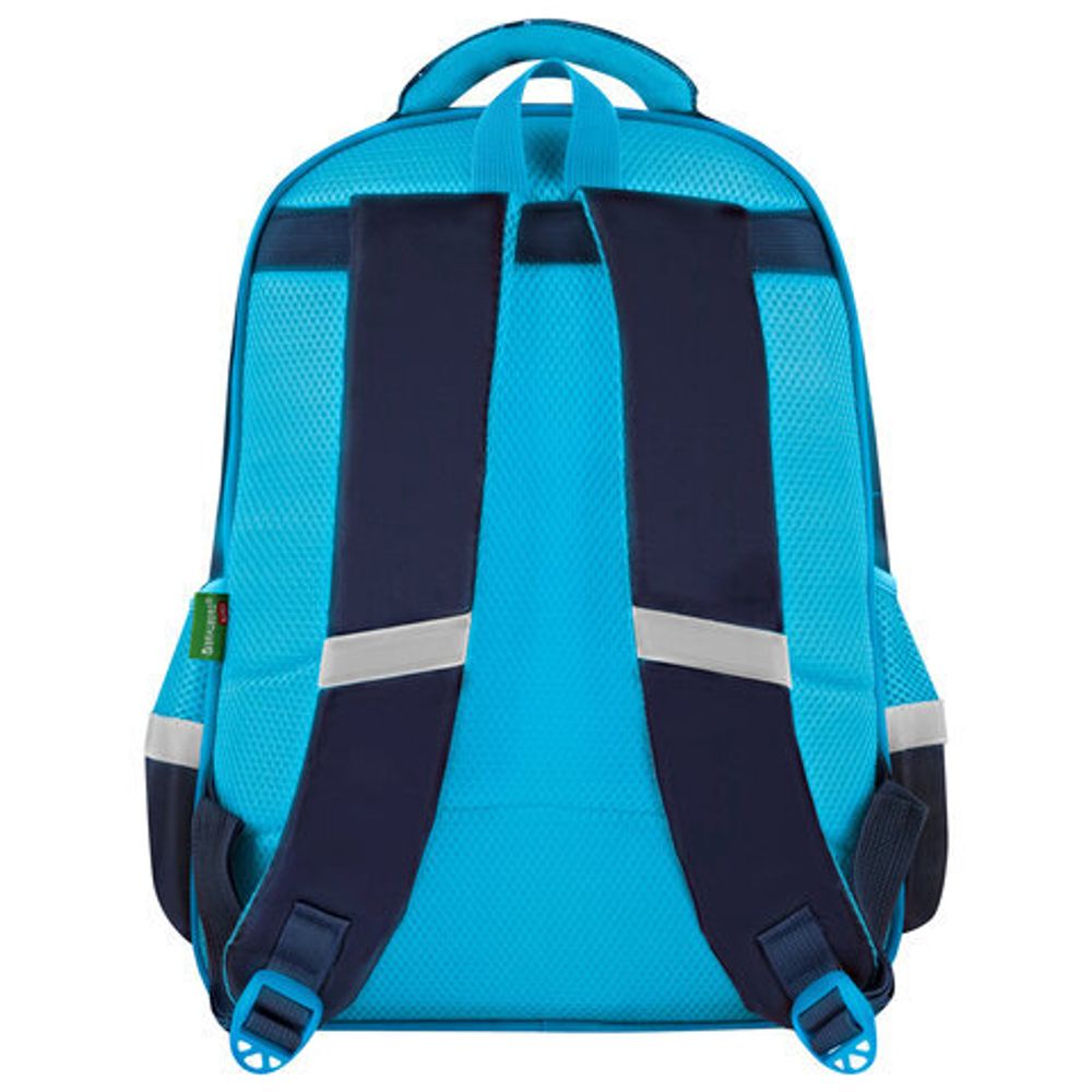 Рюкзак BRAUBERG KIDS FLOSSY, 2 отделения, 3 кармана, "Sky girl", 3D-панель, 40х28х18 см, 273179