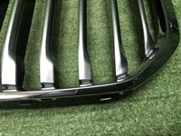 Решетка радиатора BMW X7 G07 (2019-2022)