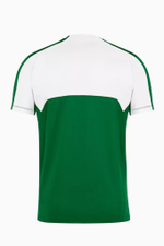 Футболка Nike Team Handball Court