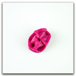 Орхидея фаленопсис L