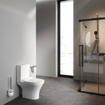 Унитаз-компакт FlashClean с сиденьем микролифт AM.PM Sense C748600SC