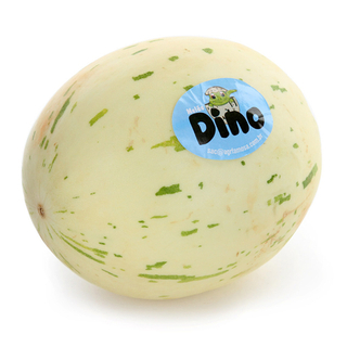 Дыня Дино