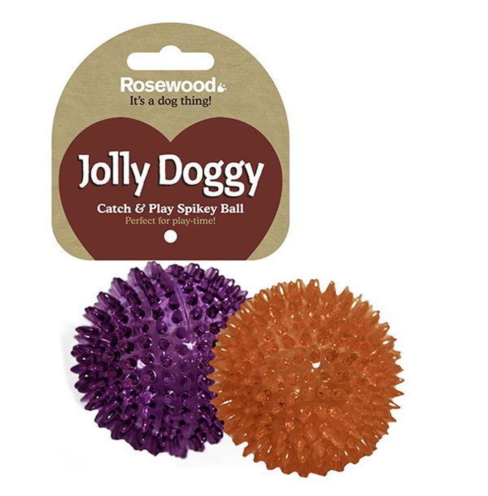 Игрушка для собак «Мяч игольчатый» Rosewood