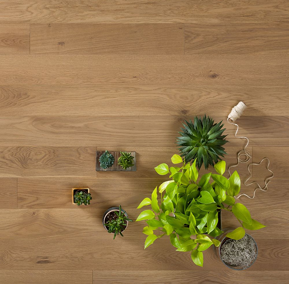 Инженерный паркет Coswick Дуб Сиена Натуральная (Raw Sienna) Шелковое масло ультраматовое