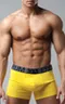 Мужские трусы R-54 Желтый