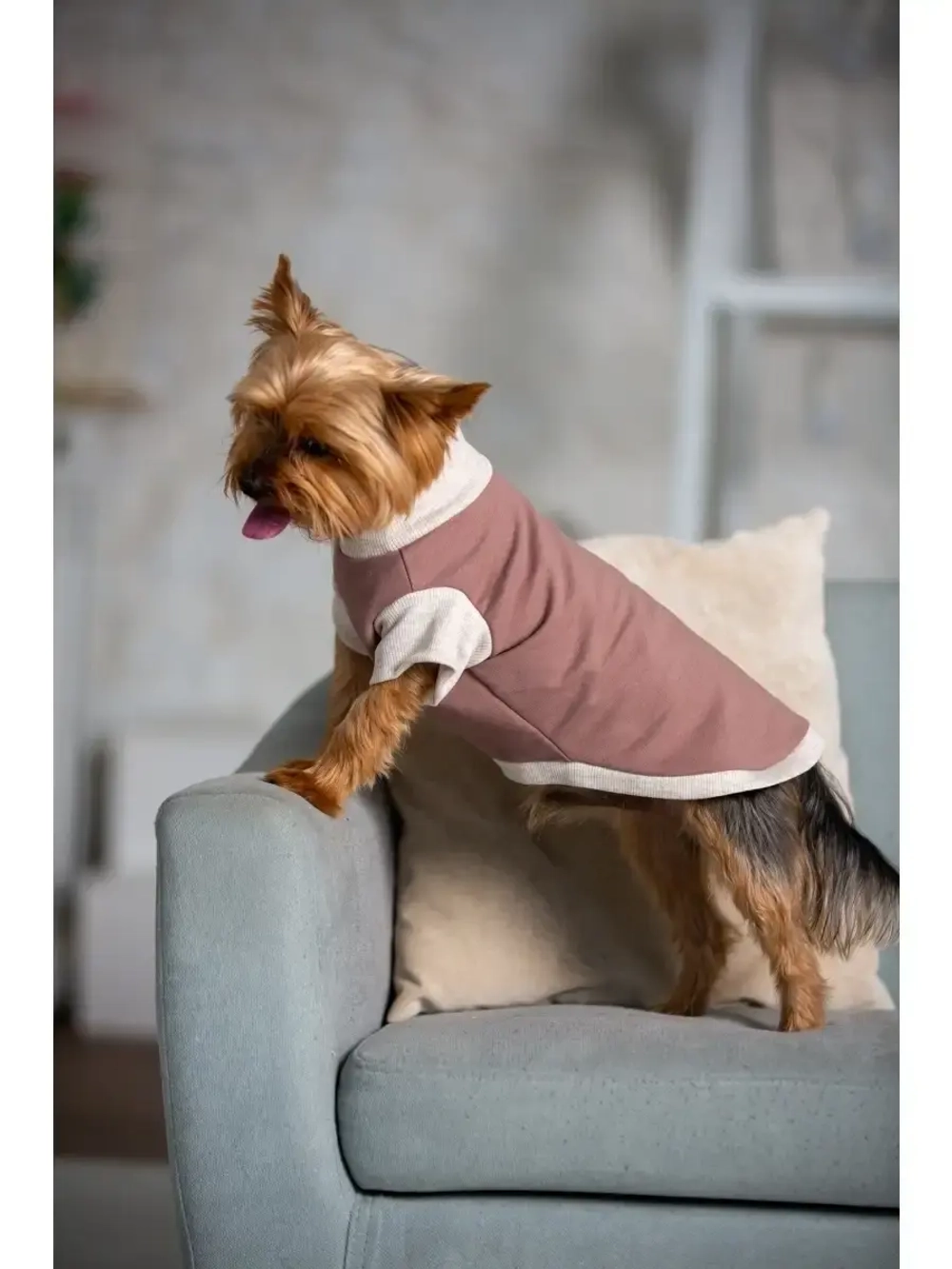 Футболка для собак мелких средних пород и кошек