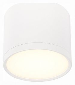 Накладной светильник ST-Luce Rene ST113.532.09