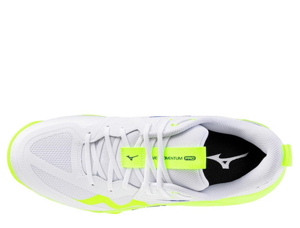 Волейбольные кроссовки Mizuno Wave Momentum Pro