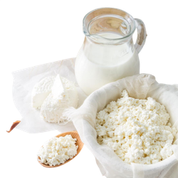 Молочная продукция