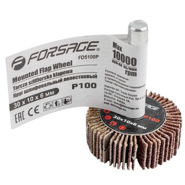Круг шлифовальный лепестковый (P100, 30х10мм, цанга 6мм, max 10 000 об/мин) Forsage F-FD5100Р