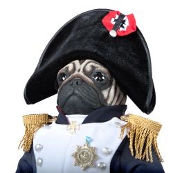 Кукла коллекционная Мопс Бонапарт