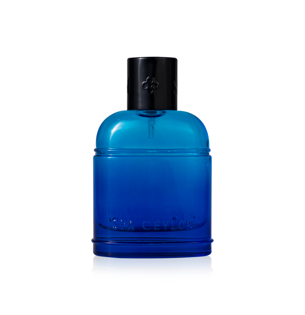 Парфюмированная вода "ПРИБОЙ АРУ" (100мл)