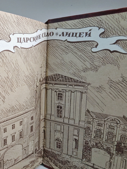 Жизнь Пушкина. Рассказанная им самим и его современниками. В двух томах (комплект из двух книг)
