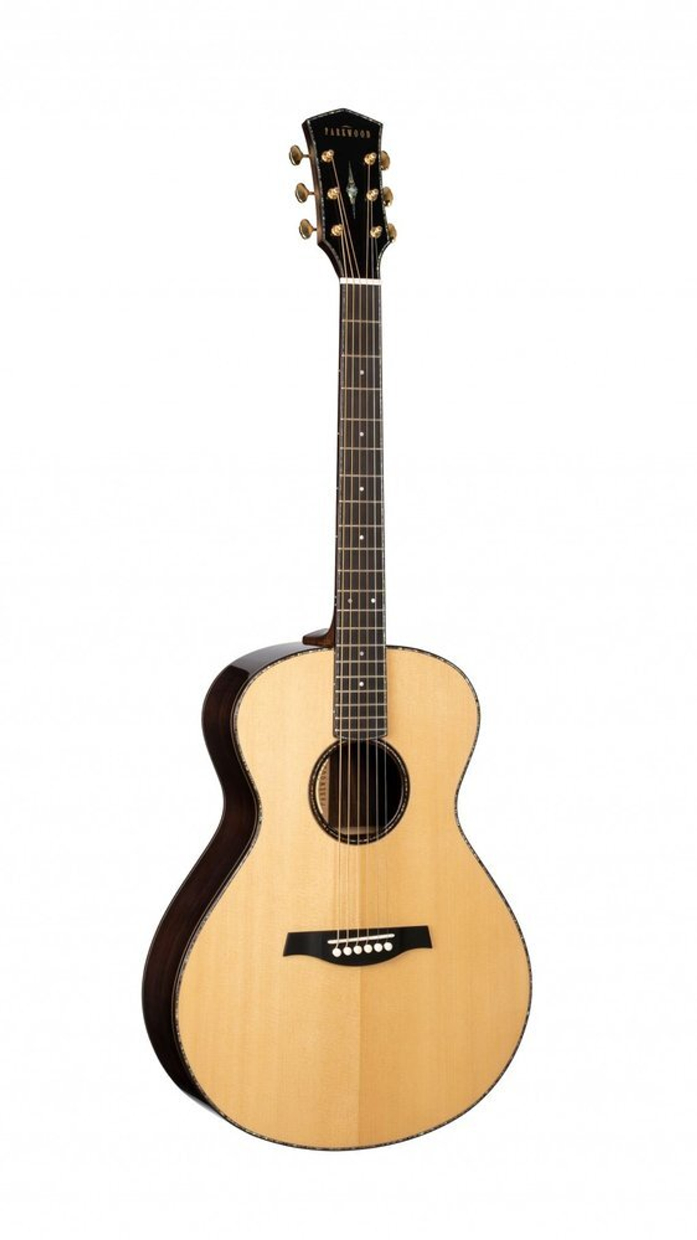 Электроакустика Parkwood P880-WCASE-NAT