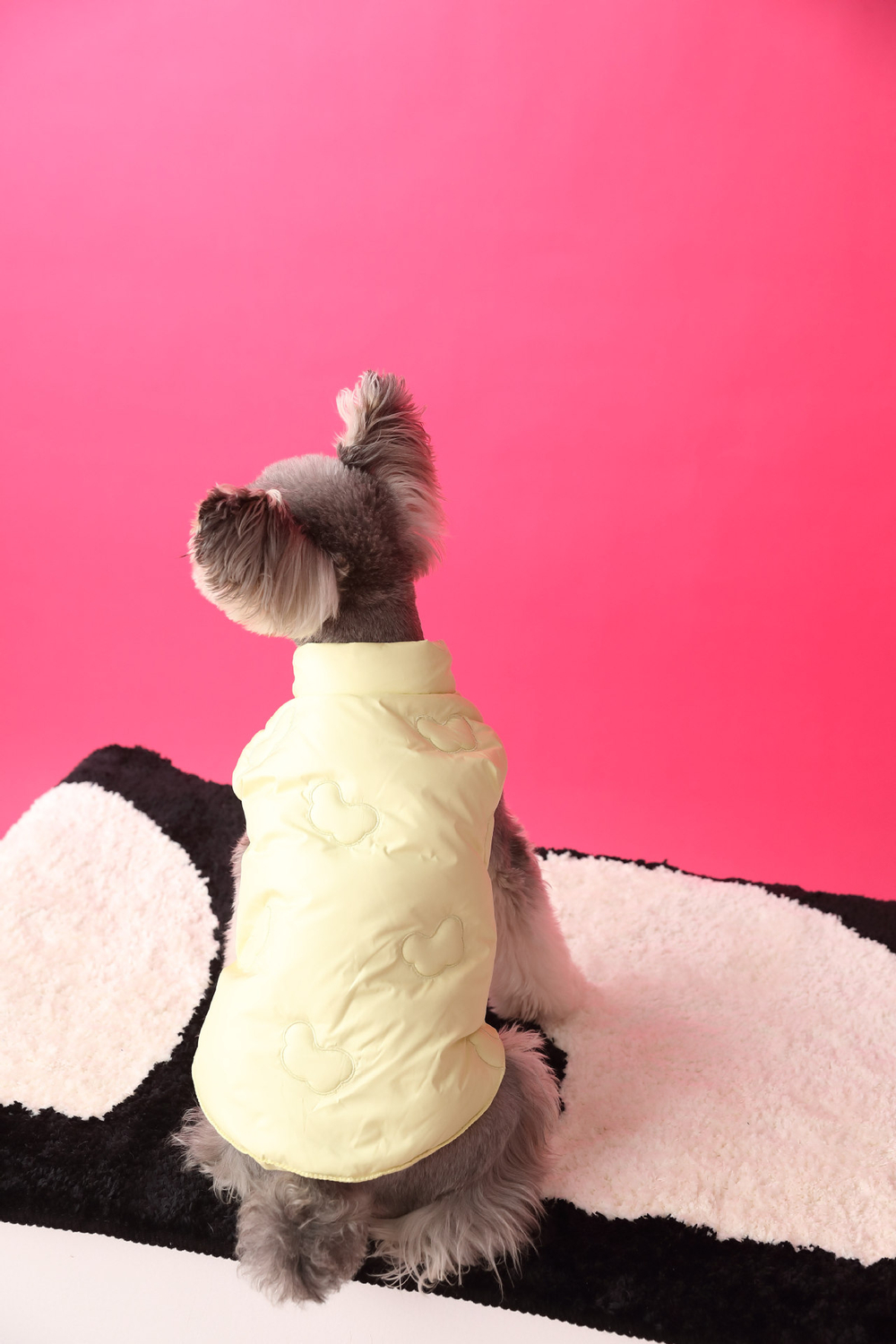 Жилетка для собак Облака