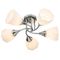 Потолочная люстра Escada Camellia 664/5P