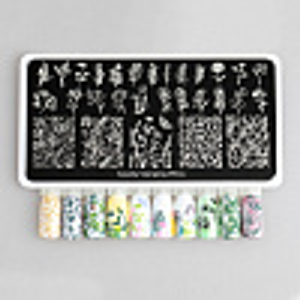 Пластина Swanky Stamping 103