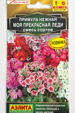 Примула Моя прекрасная леди смесь 7 шт СМЦ-368