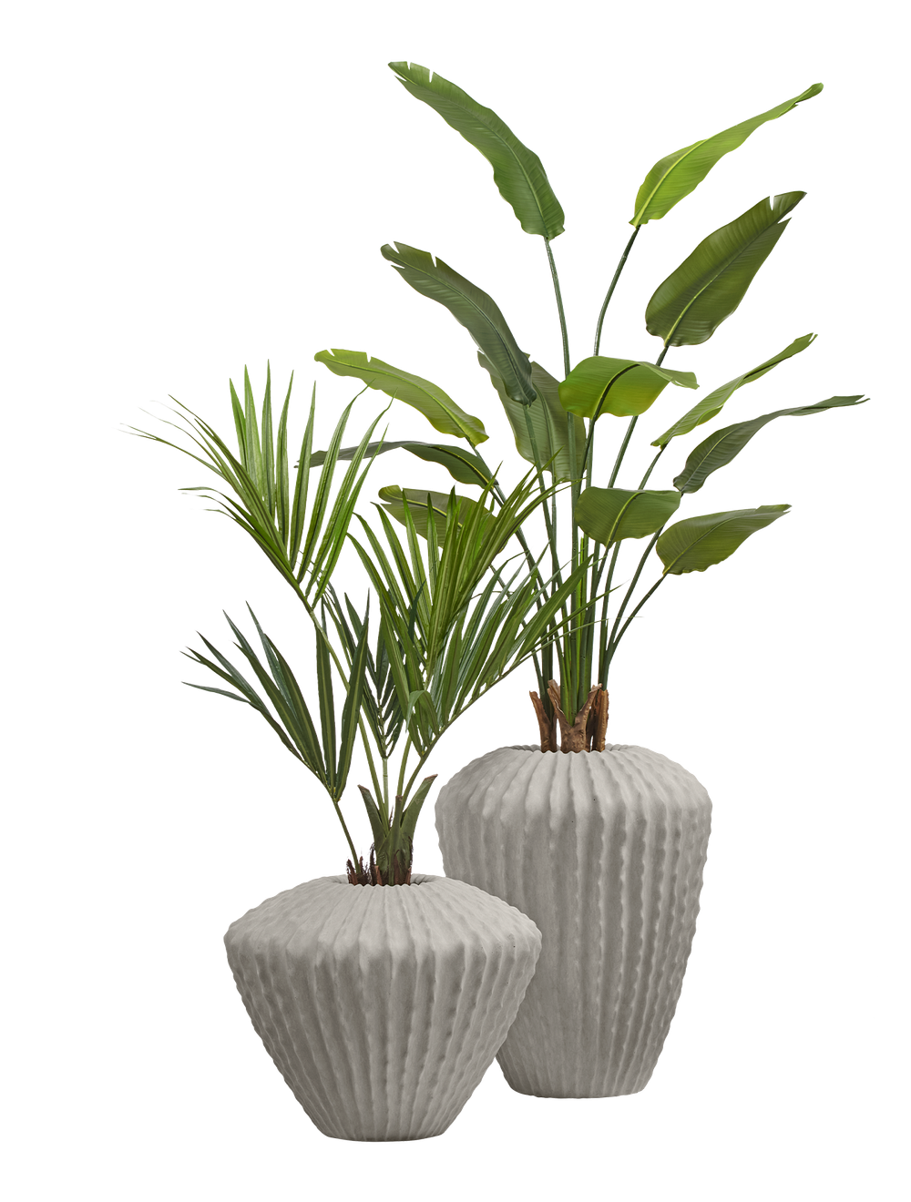 Композиция со Стрелицией и Пальмой Ховея в кашпо Treez Effectory Moho