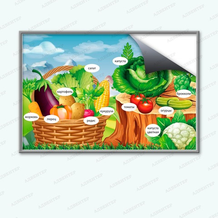 Комплект развивающий ПРИРОДА. ОВОЩИ. 2184