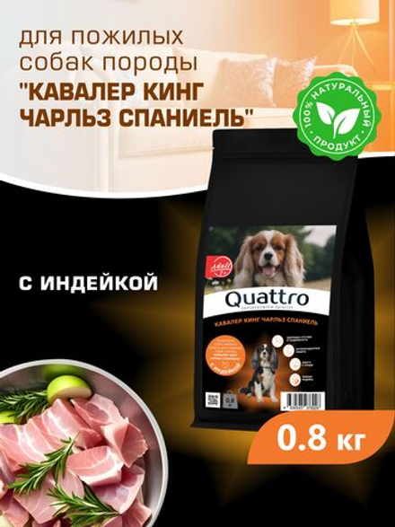Корм сухой для пожилых собак породы Кавалер кинг Чарльз спаниель старше 7 лет, с индейкой, 800 гр, QUATTRO