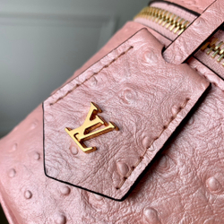 Louis Vuitton Vanity Chain Pouch
