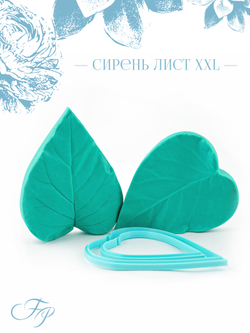 Сирень лист XXL