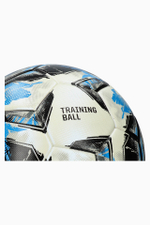 Футбольный мяч T1TAN Total Control размер 5