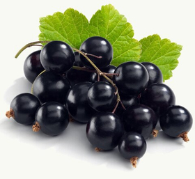 Пюре фруктовое Proff Puree в саше ЧЕРНАЯ СМОРОДИНА 250 гр. замороженное