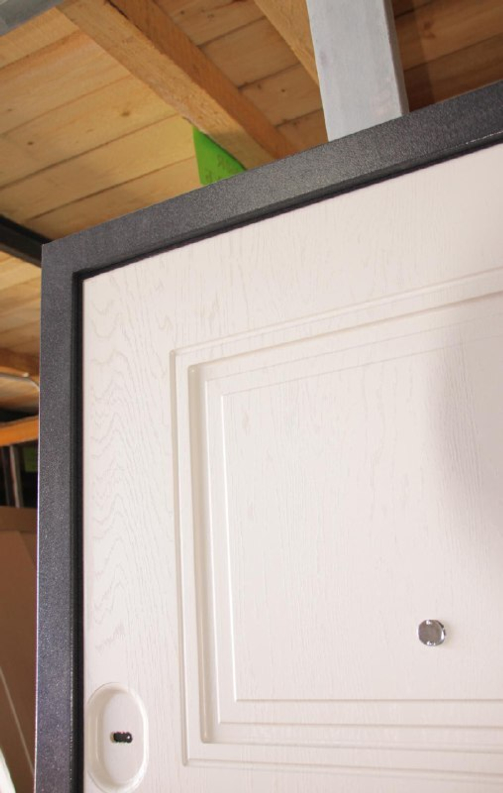 Дверь входная Мюнхен