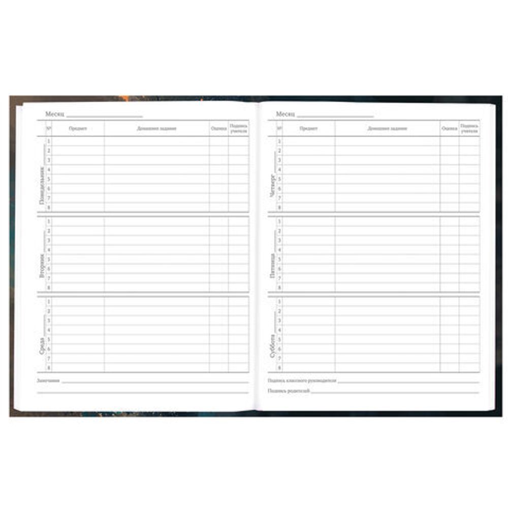 Дневник 5-11 класс 48 л., гибкая обложка, BRAUBERG, глянцевая ламинация, с подсказом, "Cat", 107181